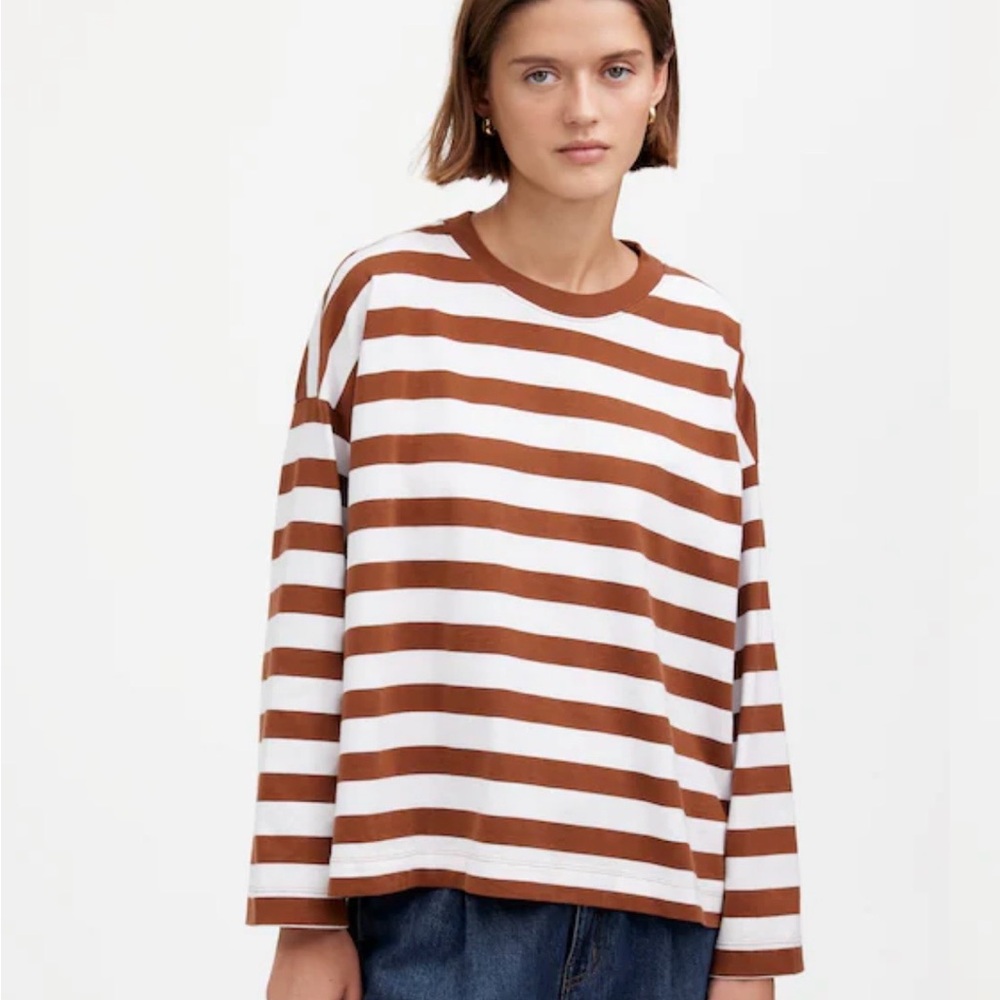 Madewell Brown and White Striped Long Sleeve Top
